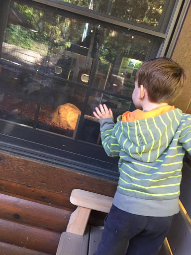 Day Care Center «The Joyful Jungle Christian Learning Center», reviews and photos, 1529 E Twelve Mile Rd, Madison Heights, MI 48071, USA