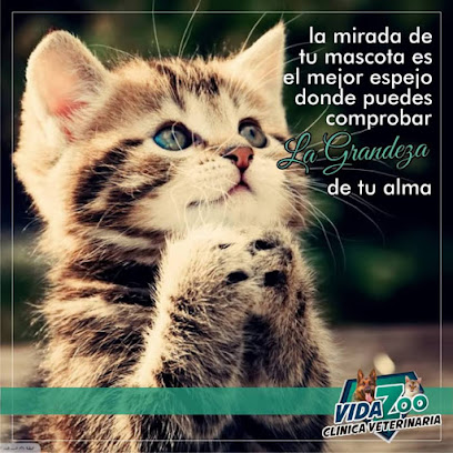 Vidazoo Clínica Veterinaria