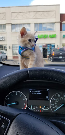 Pet Supply Store «Pet Supplies Plus», reviews and photos, 1170 Walton Blvd, Rochester Hills, MI 48307, USA