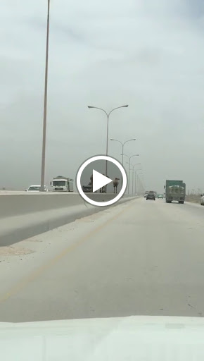 Pet Supply Store «Petco Animal Supplies», reviews and photos, 1333 Centennial Ave, Piscataway Township, NJ 08854, USA