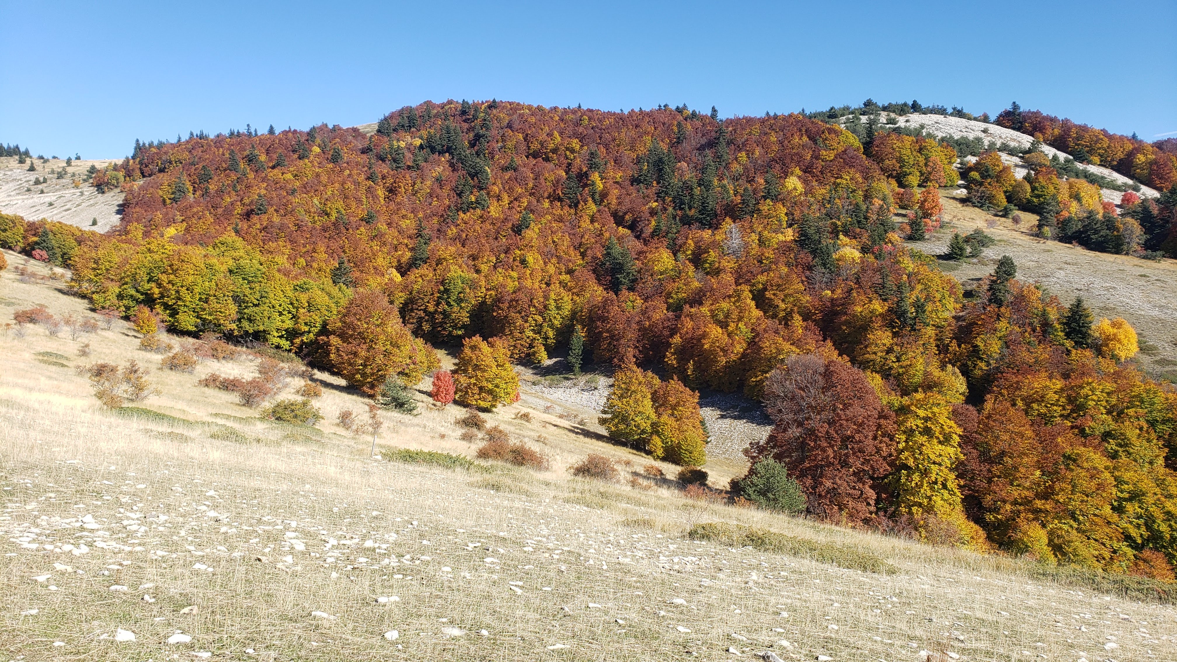 Photo n° 5 de l'avis de olivier.i fait le 31/10/2021 à 13:54