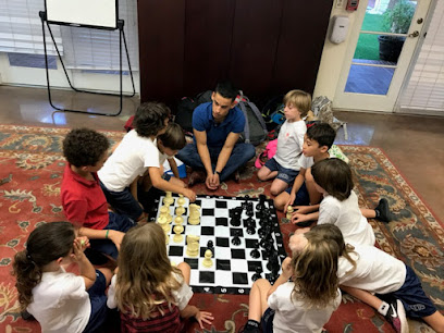 Panoptic Chess Lessons