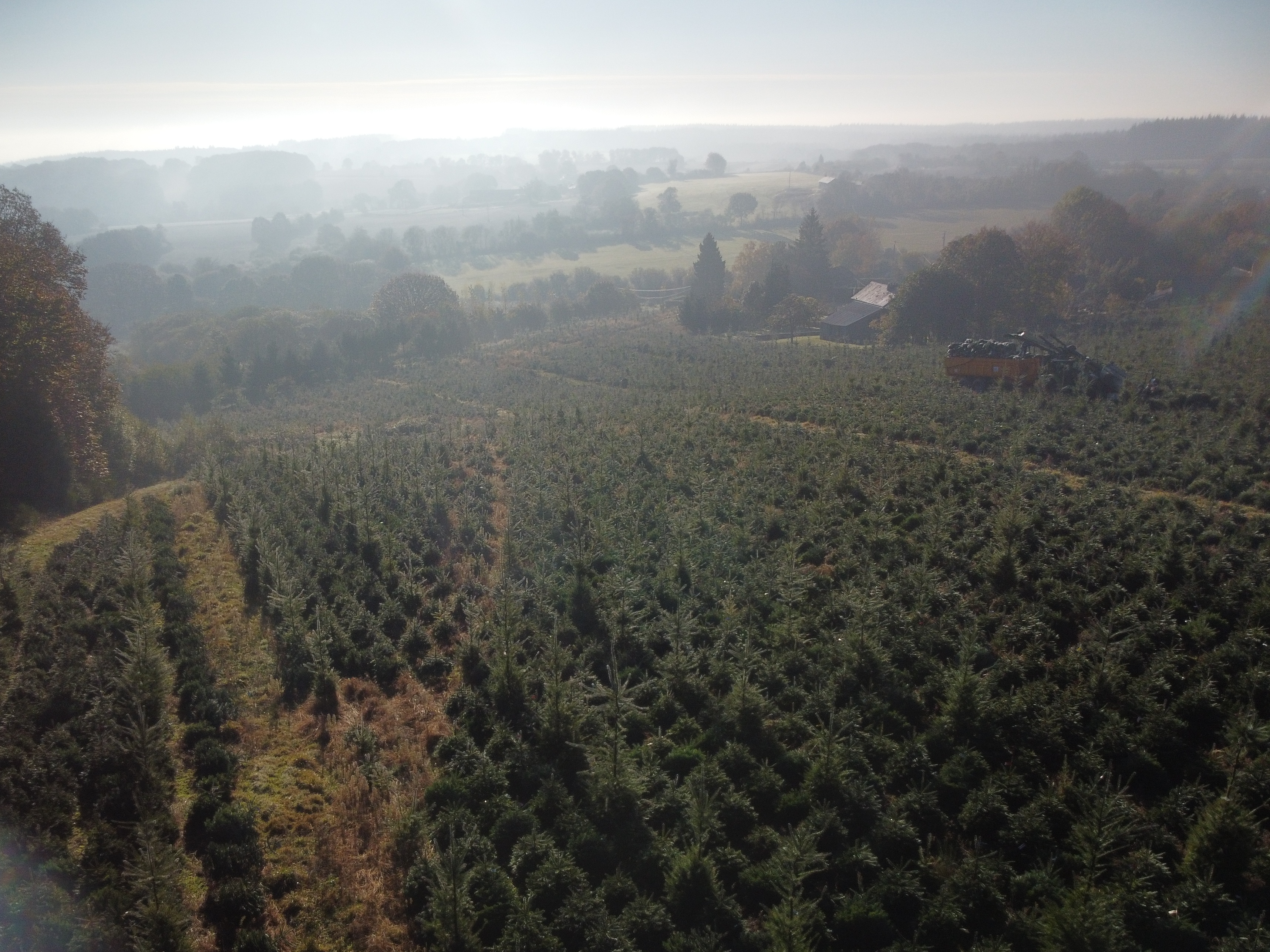 Photo n° 1 de l'avis de Yves.e fait le 12/11/2021 à 07:11