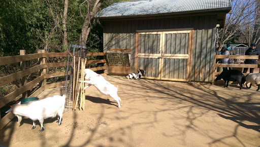 Zoo «Dallas Zoological Society», reviews and photos, 650 S R L Thornton Fwy, Dallas, TX 75203, USA