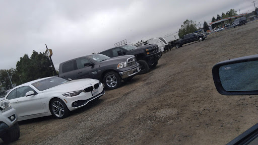 Craft Store «Michaels», reviews and photos, 1359 N McDowell Blvd, Petaluma, CA 94954, USA