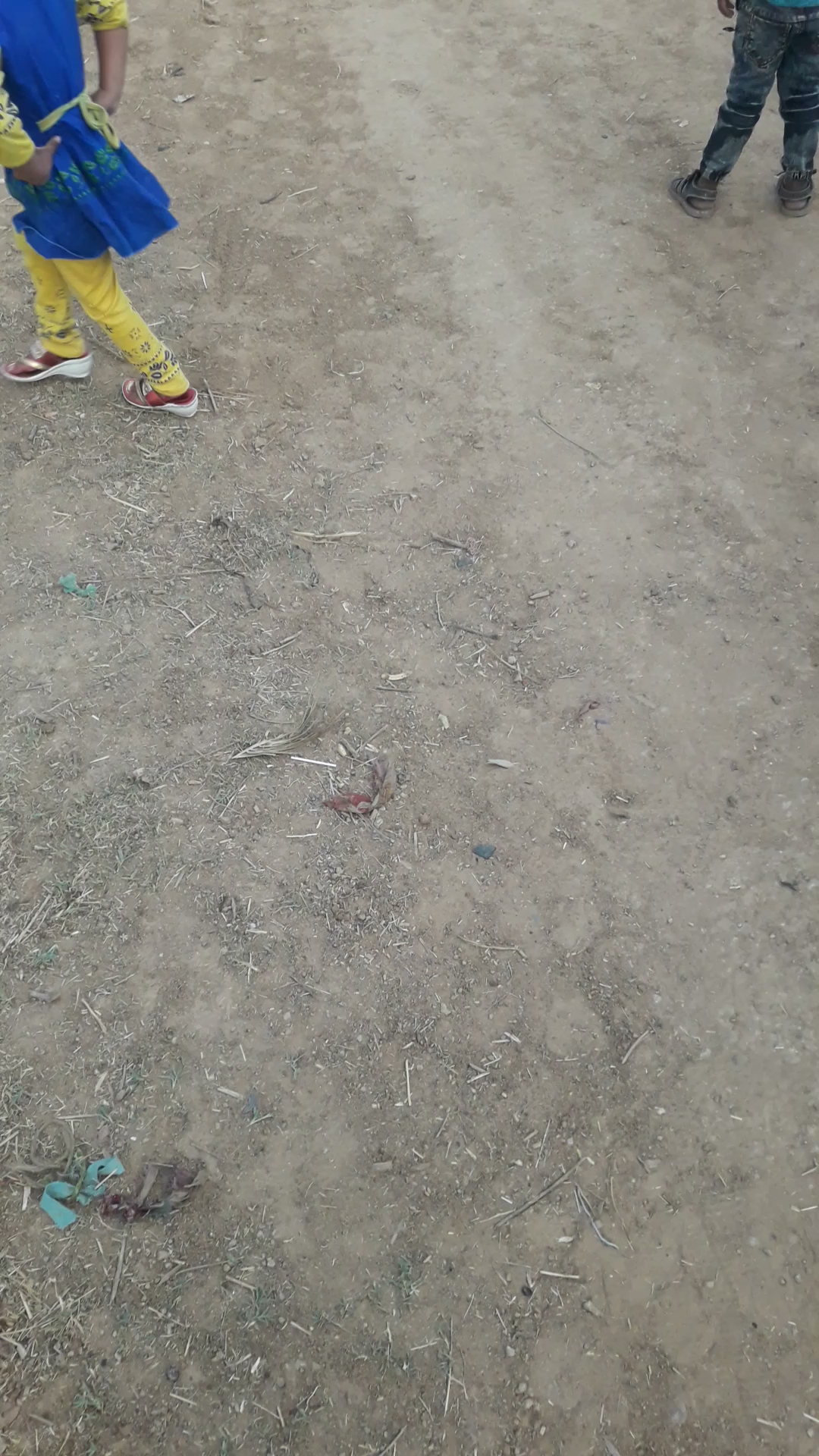 ग्राम भटौली स्कूल बबेरू बांदा