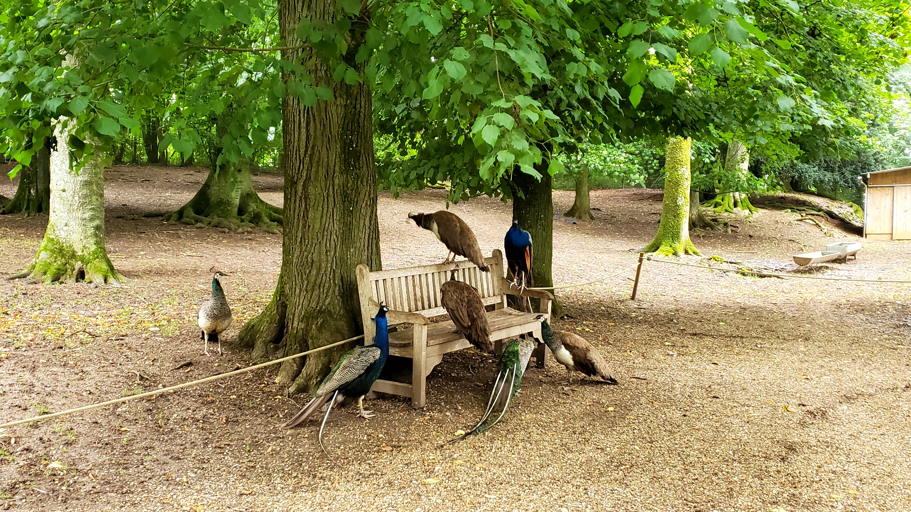Photo n° 2 de l'avis de Clémence.l fait le 10/08/2023 à 16:36