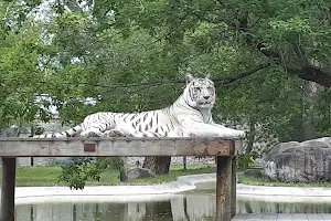 Dakota Zoo image