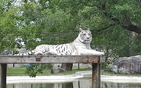 Dakota Zoo image