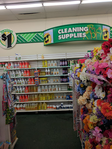 Dollar Store «Dollar Tree», reviews and photos, 11150 Research Blvd, Austin, TX 78759, USA