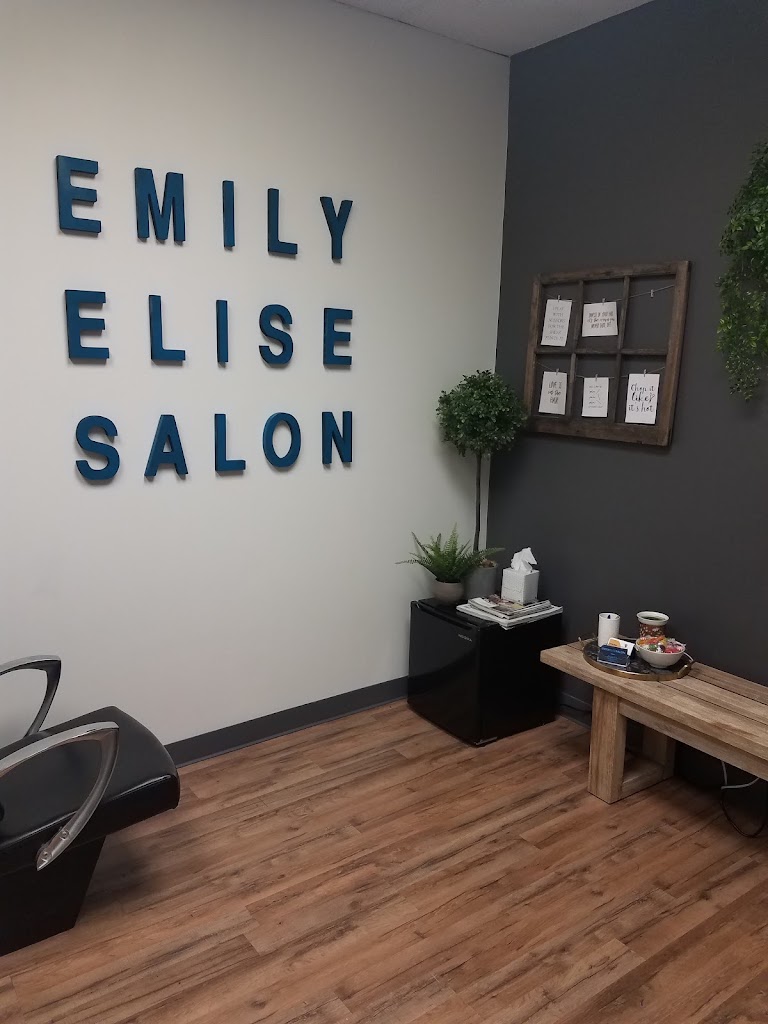 Emily Elise Salon 46220
