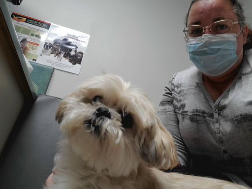 Burch Creek Animal Hospital image