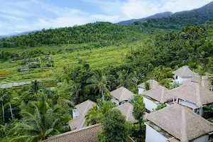Maha Hills Resort Lovina image