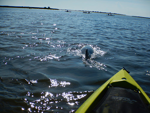 Surf Shop «Surf The Earth», reviews and photos, 47 Da Gullah Way, Pawleys Island, SC 29585, USA