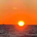 Photo n°7 de l'avis de Arch..a fait le 26/02/2020 à 09:44 sur le  Ristorante Le Murelle à Montalto di Castro