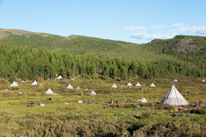 Gurvansaikhan by null