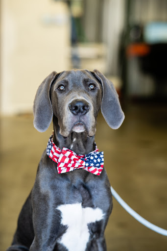 Auto Repair Shop «American Pride Automotive (Yorktown)», reviews and photos, 1939 George Washington Memorial Hwy, Yorktown, VA 23693, USA