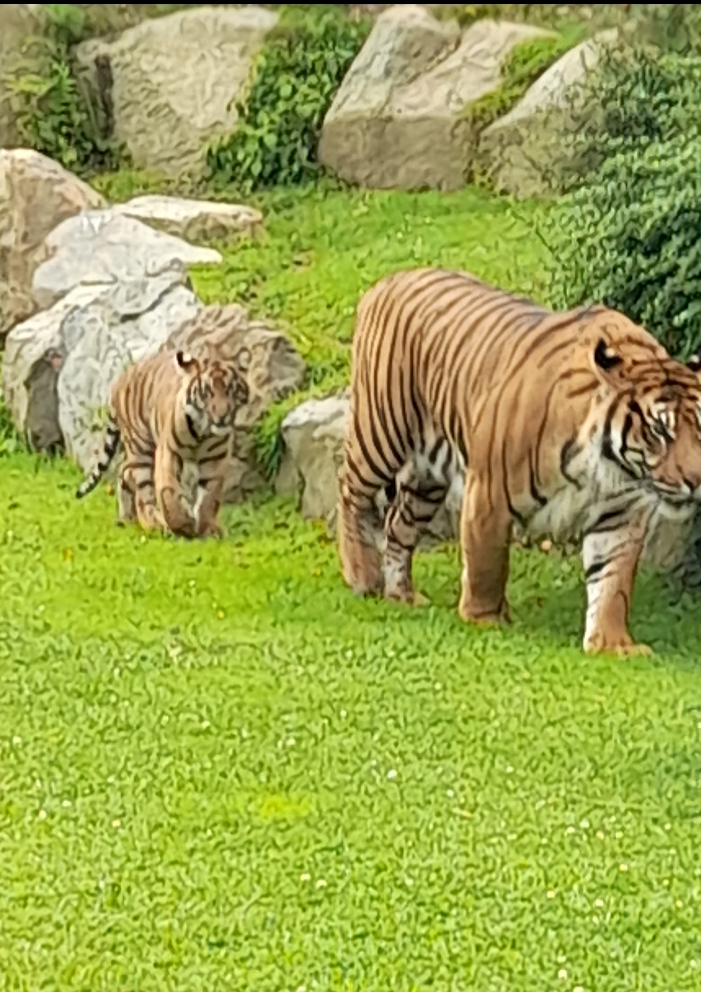 Photo n° 7 de l'avis de Régine.u fait le 26/07/2021 à 13:45