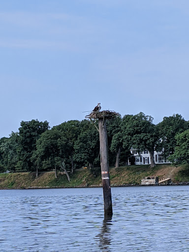 Nature Preserve «Wye Island Natural Resources Management Area», reviews and photos, 632 Wye Island Rd, Queenstown, MD 21658, USA