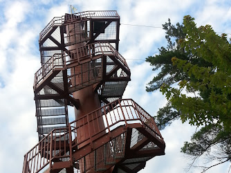 Wilderness Canyon Zip Line