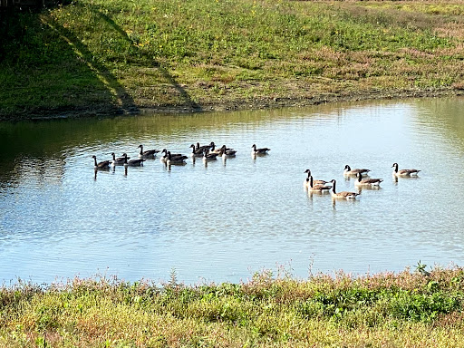 Nature Preserve «Buffalo Creek Forest Preserve», reviews and photos, 18163 W Checker Rd, Long Grove, IL 60047, USA