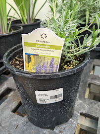 Weesies Brothers Garden Centers & Landscaping - Photo 8 - Car repair in Nunica, MI, Muskegon