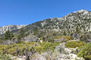 Fay-Luther Trailhead image