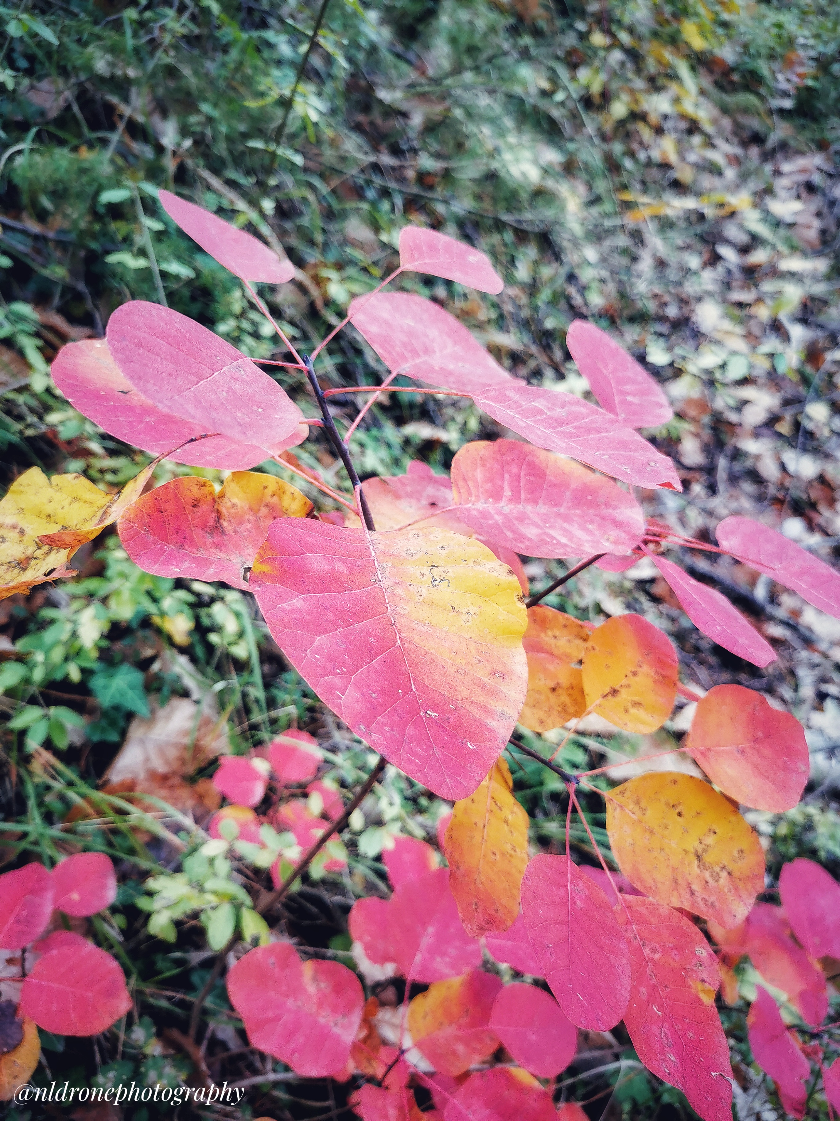 Photo n° 1 de l'avis de Nicolas.e fait le 27/10/2020 à 22:09