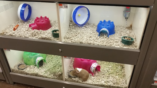 Pet Supply Store «Pet Supplies Plus», reviews and photos, 720 Hoosick Rd, Troy, NY 12180, USA