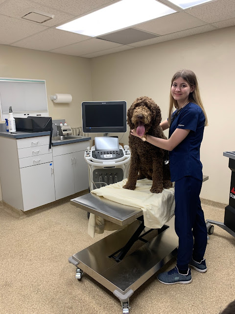 Healthy Pets Animal Hospital and Rehabilitation Center