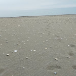 Photo n°18 de l'avis de Agata.o fait le 06/05/2021 à 15:49 sur le  Nova Siri à Nova Siri