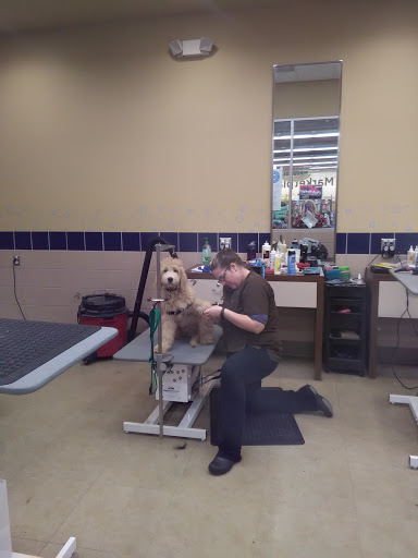 Pet Supply Store «Petco Animal Supplies», reviews and photos, 1150 Concord Ave #160, Concord, CA 94520, USA