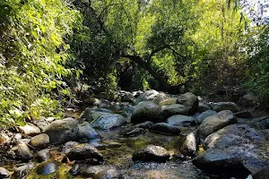 Nahal Snir Nature Preserve image