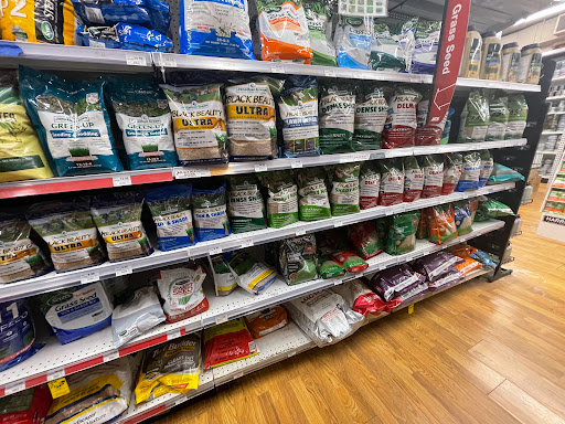 Hardware Store «Old Town Ace Hardware», reviews and photos, 809 S Washington St, Alexandria, VA 22314, USA