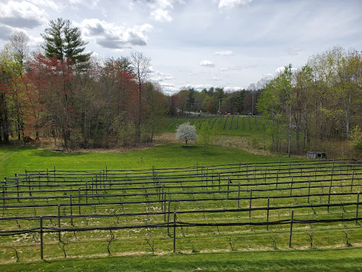 Winery «LaBelle Winery», reviews and photos, 345 NH-101, Amherst, NH 03031, USA