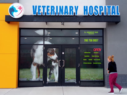 Edmonton Dogs and Cats Veterinary Hospital