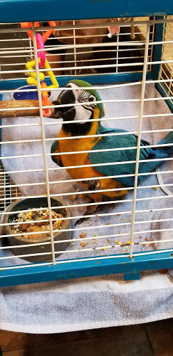 Pet Store «Pet Kingdom», reviews and photos, 4650 S Cleveland Ave, Fort Myers, FL 33907, USA