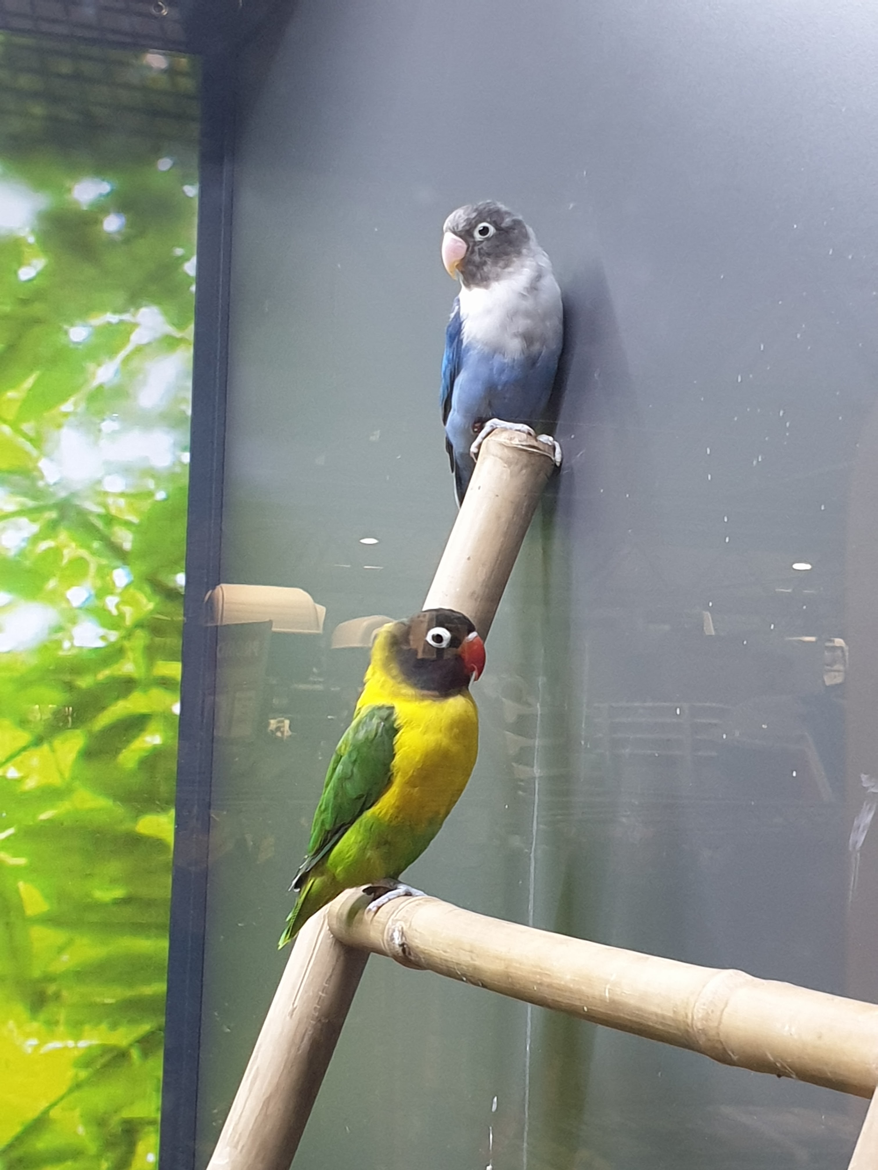 Photo n° 3 de l'avis de E. fait le 03/06/2019 à 16:42