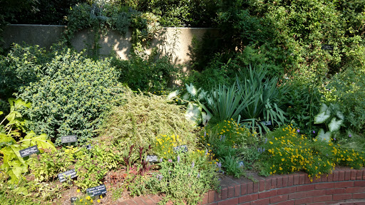 Museum «Smithsonian National Museum of African Art», reviews and photos, 950 Independence Ave SW, Washington, DC 20560, USA