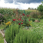 Photo n°6 de l'avis de Benno.o fait le 04/09/2017 à 07:28 sur le  Radler's Hof à Letschin