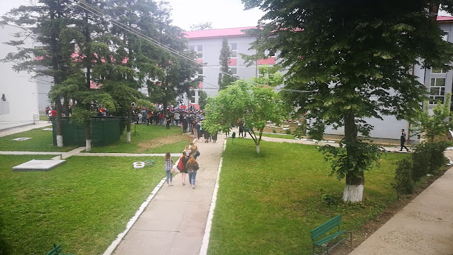 Opinii despre Liceul Tehnologic Dimitrie Bolintineanu în <nil> - Școală