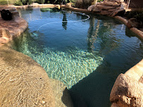 Sunny Side Up Pools - Photo 5 - Car repair in , San Tan Valley