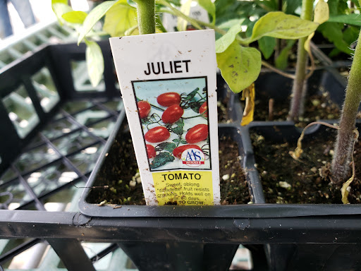 Landscaper «Reynolds Landscaping, Garden Shop & Garden Center», reviews and photos, 201 E Bay Ave, Manahawkin, NJ 08050, USA