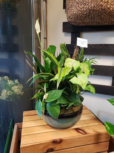 Florist «Village Florist», reviews and photos, 49 Main St, Toms River, NJ 08753, USA