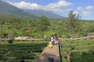 GUNUNG MAS TEA BRIDGE image