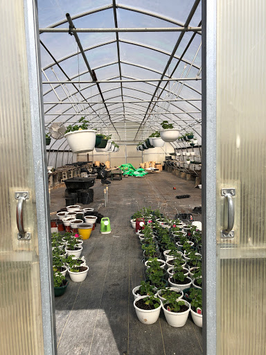 Florist «Star Florist & Greenhouses», reviews and photos, 518 Scheel St, Belleville, IL 62220, USA