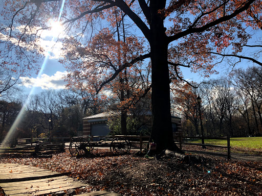 Park «Prospect Park Carousel», reviews and photos, 95 Prospect Park West, Brooklyn, NY 11225, USA