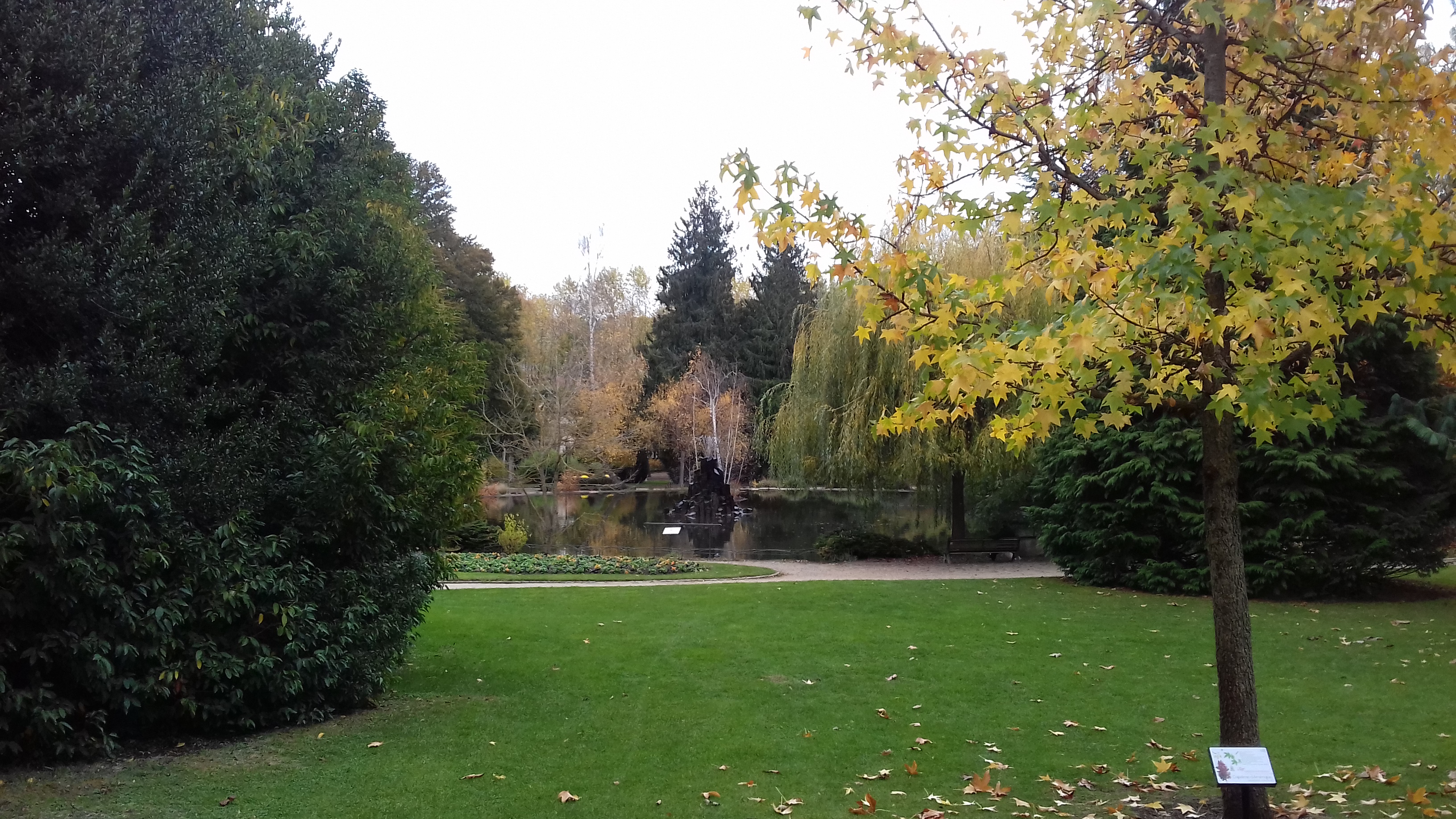 Photo n° 5 de l'avis de DAVID.A fait le 15/11/2022 à 21:09
