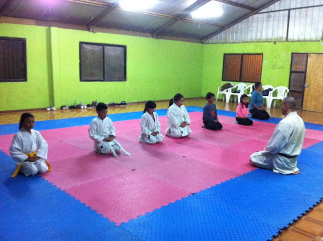 Opiniones de Escuela de Karate -Do Kin No Yama en Andacollo - Escuela