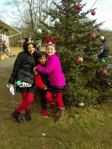Historical Landmark «Shore Line Trolley Museum», reviews and photos, 17 River St, East Haven, CT 06512, USA